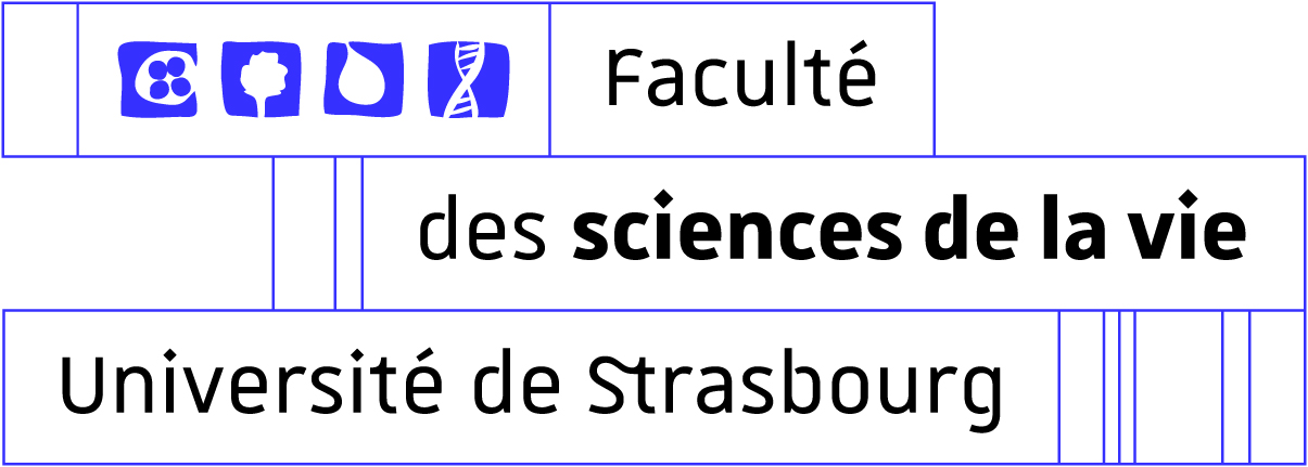 Bannière Faculté des sciences de la vie